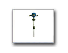 Plants: image 1 0f 4 thumb